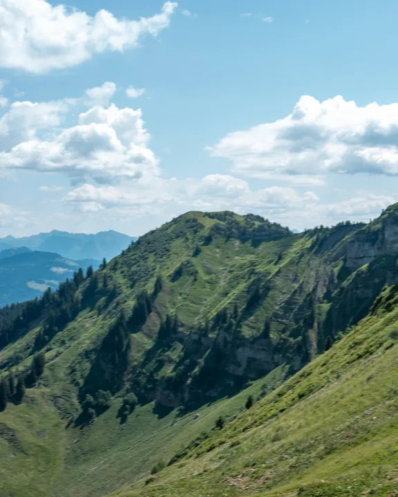 Bullerschkopf Der Bullerschkopf als letzter Gipfel im Höhenzug von der Niedere mit den Allgäuer Alpen im Hintergrund.